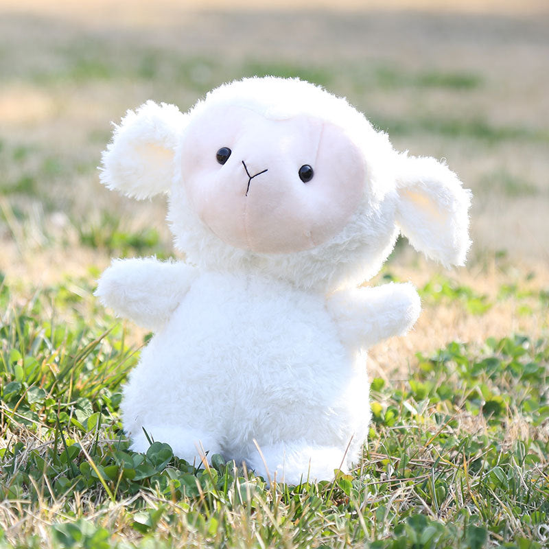 Plush Little Sheep Plush Toy Children'S Gift Comfort Doll Wedding Toss Doll Catching Machine Cloth Doll Wholesale