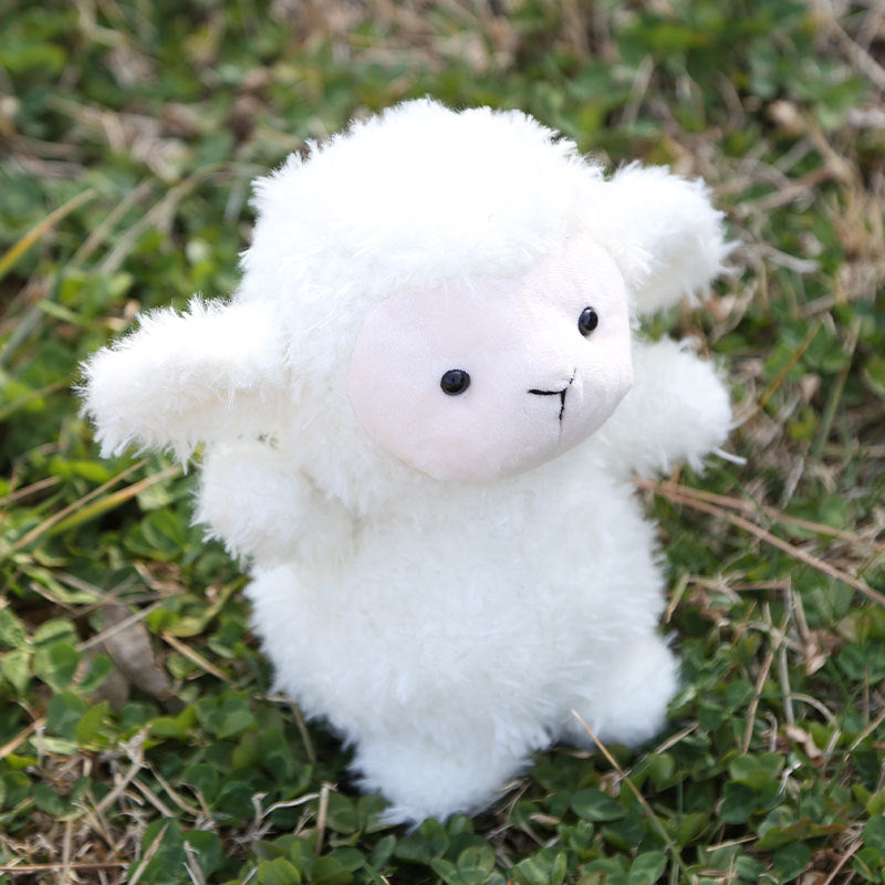 Plush Little Sheep Plush Toy Children'S Gift Comfort Doll Wedding Toss Doll Catching Machine Cloth Doll Wholesale